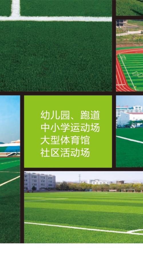 园,跑道,中小学运动场,大型体育馆,社区活动场等采用人造草坪绿色环保